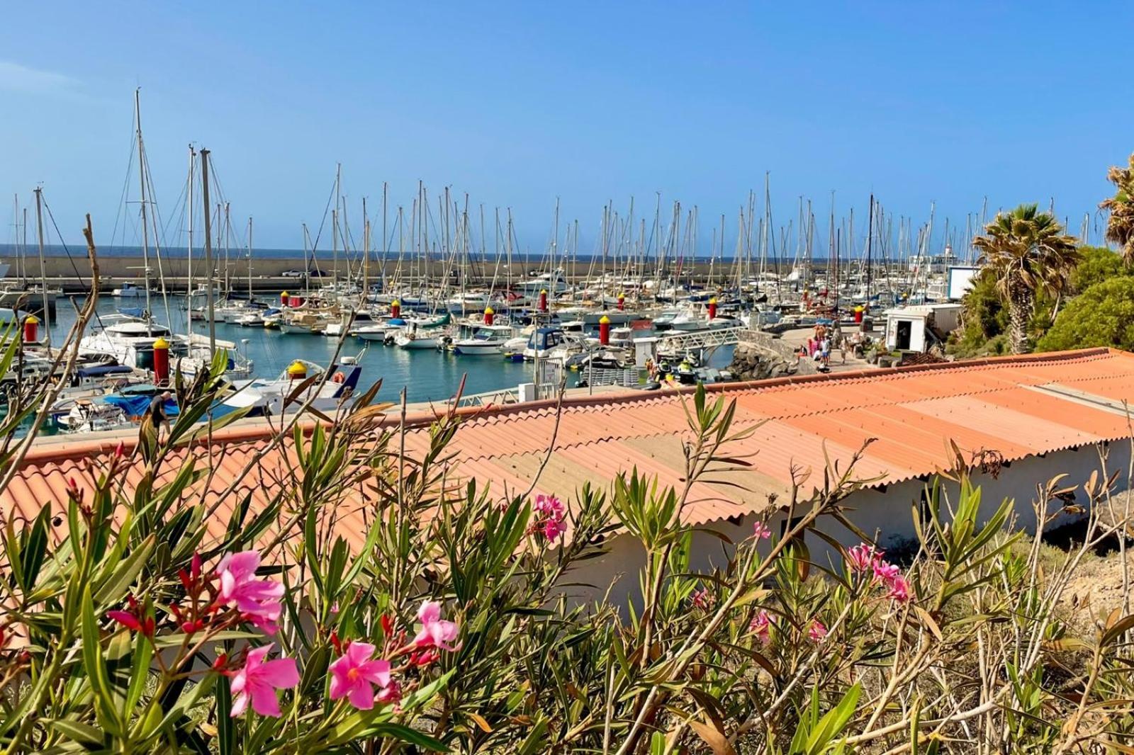 Amarilla Golf Apartment San Miguel de Abona Zewnętrze zdjęcie